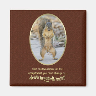 Serenity Prayer in a Nutshell Magnet