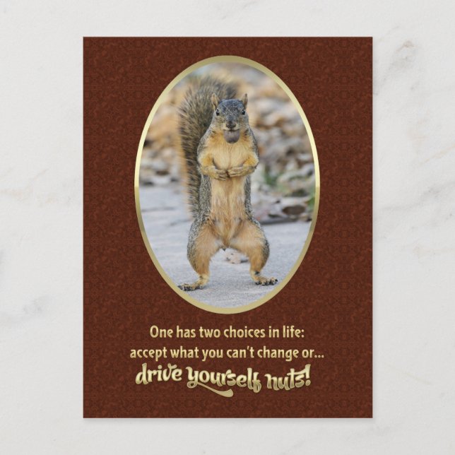 Serenity Prayer in a Nutshell Postcard (Front)