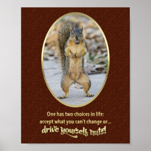 Serenity Prayer in a Nutshell Poster