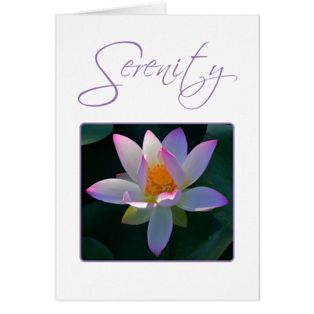 Serenity Prayer Pink Lotus Flower (Front)