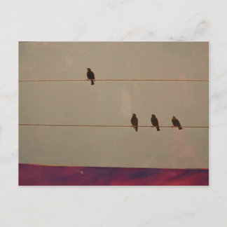 Serenity Series Postcard