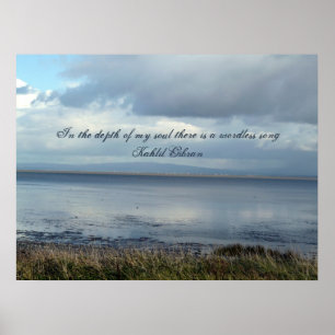 Serenity View Poster