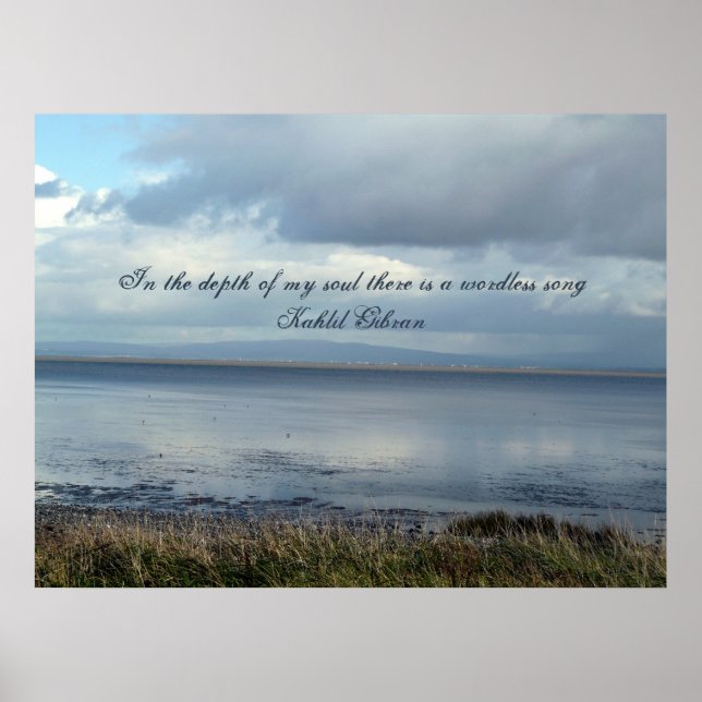 Serenity View Poster (Front)