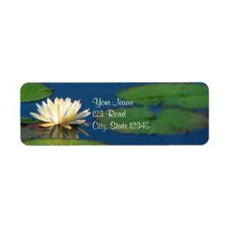 Serenity Water Lily