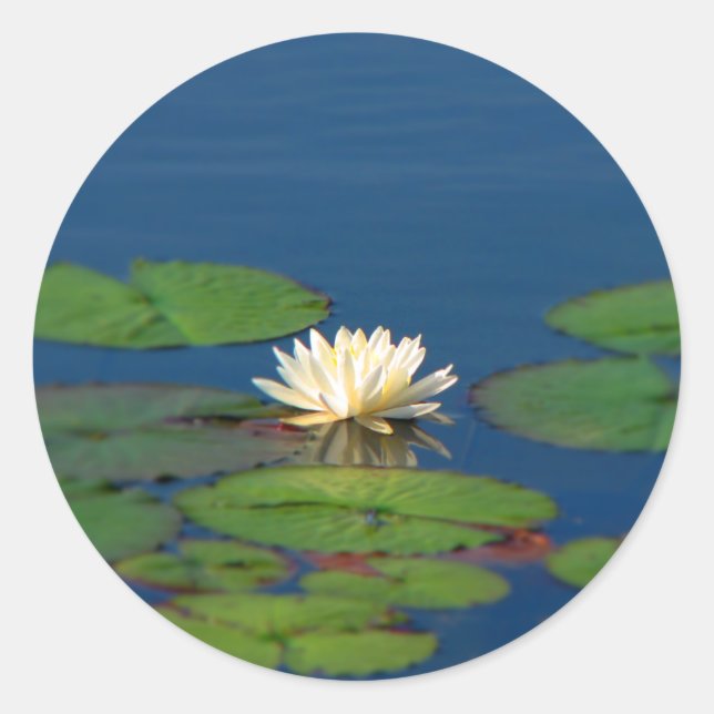 Serenity Water Lily Classic Round Sticker (Front)