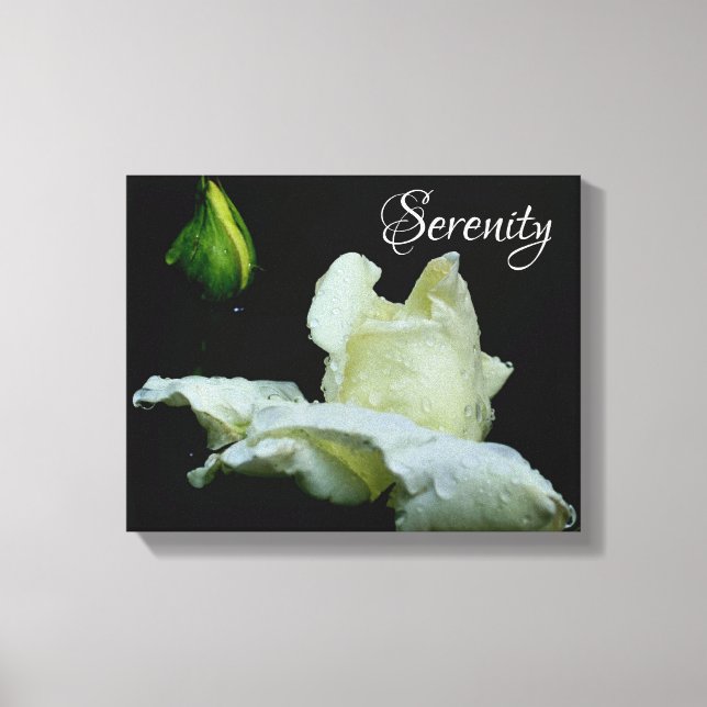 Serenity White Rosebud Inspirational Words Canvas Print (Front)