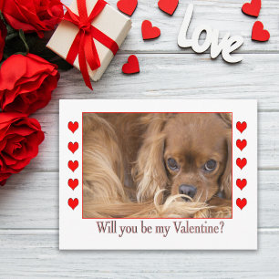 Serez-vous ma carte postale de la Saint-Valentin S