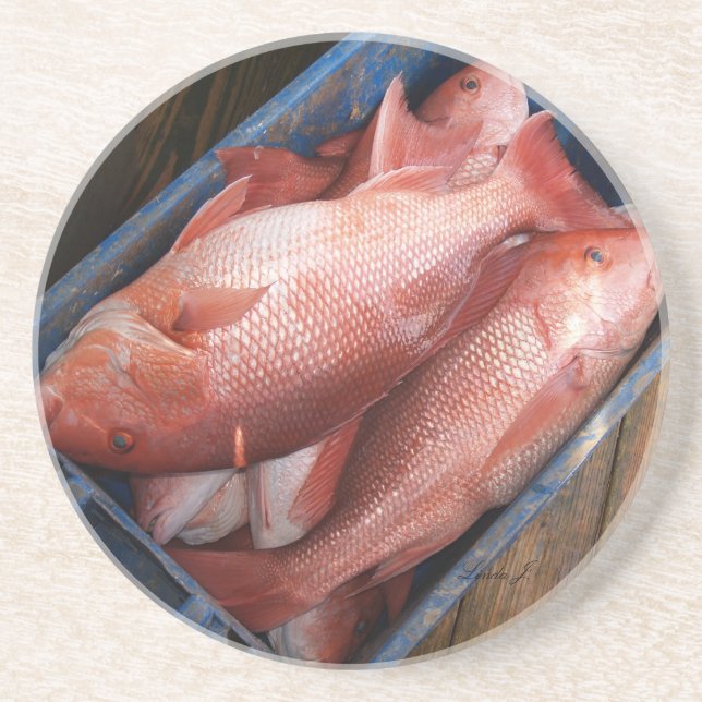 Série d'animaux — Dessous de verre de poisson de R (Devant)