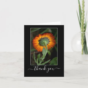 Série d'artistes : Merci d'art Floral Orange