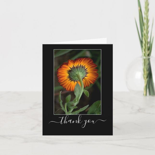 Série d'artistes : Merci d'art Floral Orange (Devant)
