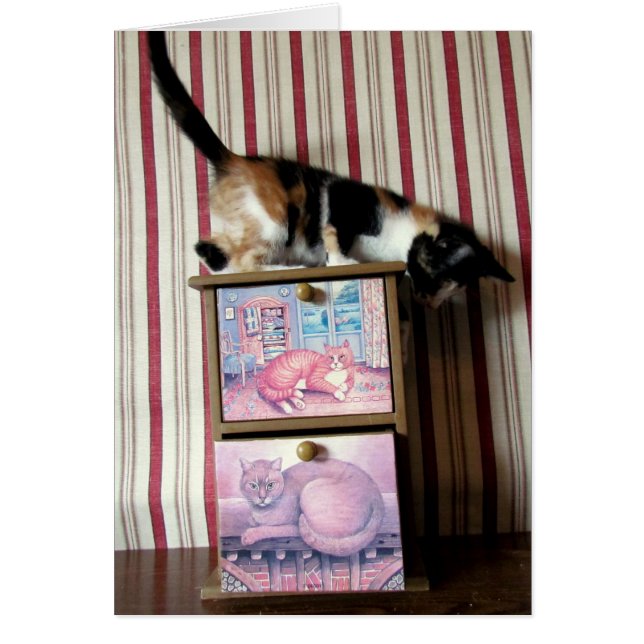 Série de la garde-robe de Leilani - carte 1 (Devant)