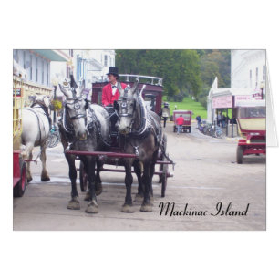 Série de Mackinaw Island