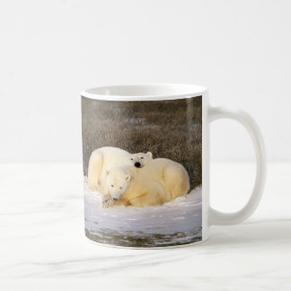 Série de tasse d'ours blanc