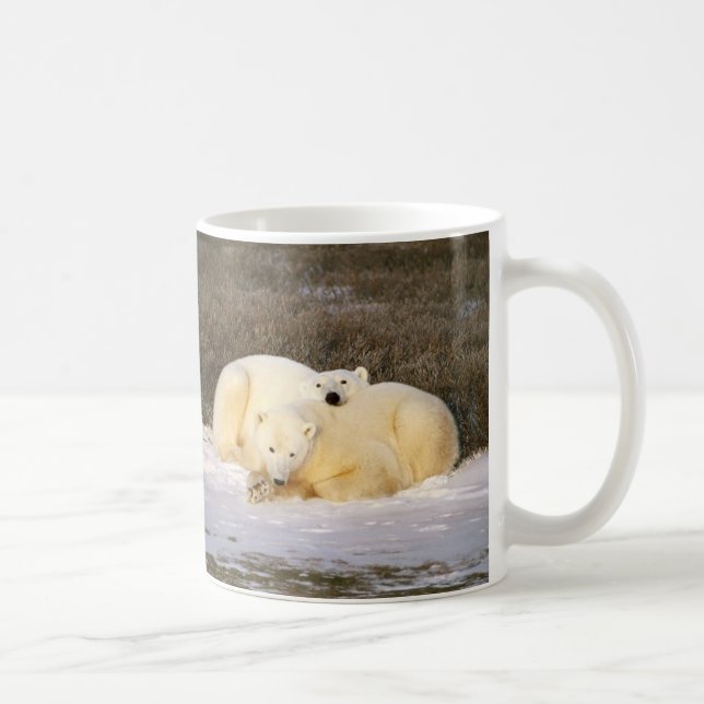 Série de tasse d'ours blanc (Droite)