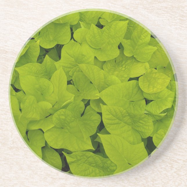 Série Plante/Fleur - Dessous de verre de la vigne  (Devant)