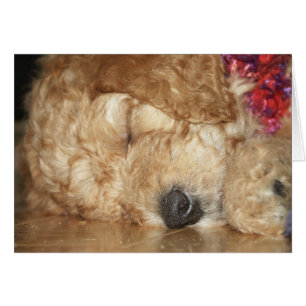 Series-02 nouveau-né