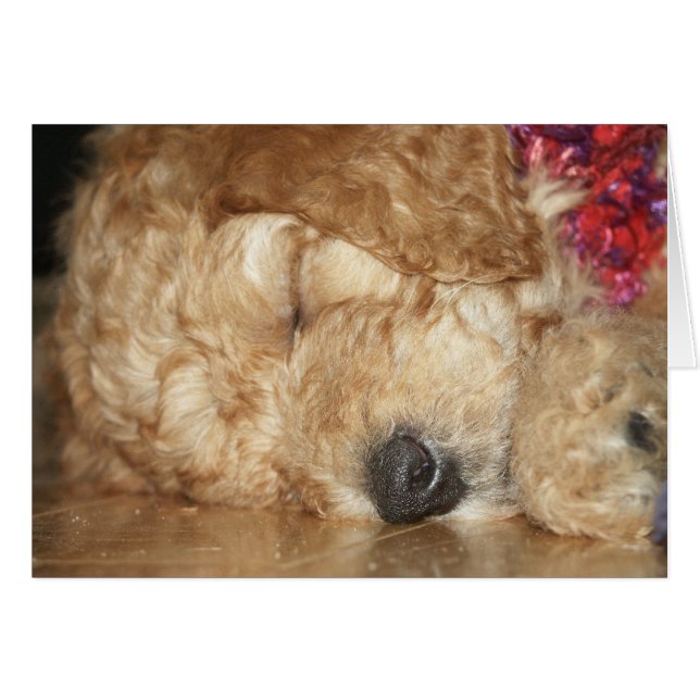 Series-02 nouveau-né (Devant horizontal)