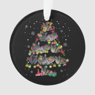 Séries de Noël de Chinchilla, rongeurs amusants No