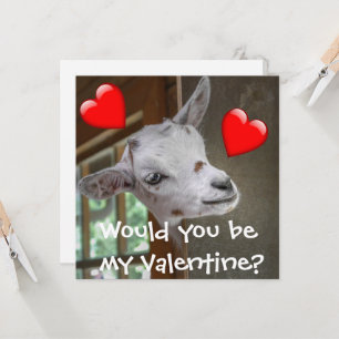 Seriez-Vous Ma Saint-Valentin ? Carte de chèvre Fu