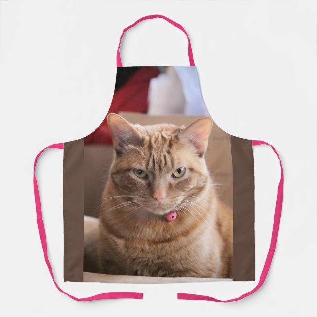 Serious Apron (Front)