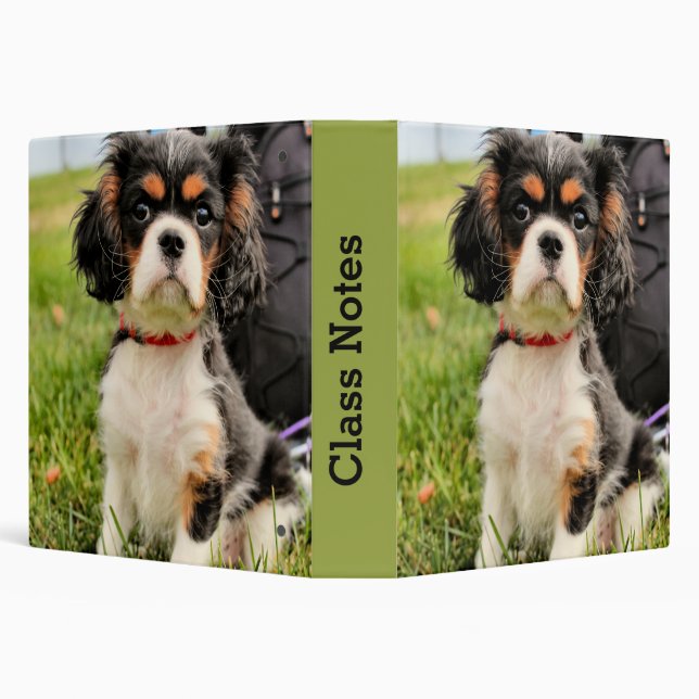 Serious Binder (Background)