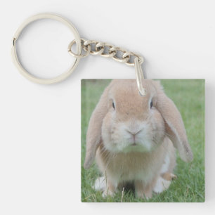 serious bunny photo keychain