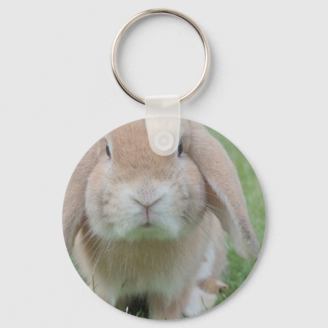 serious bunny photo keychain (Front)