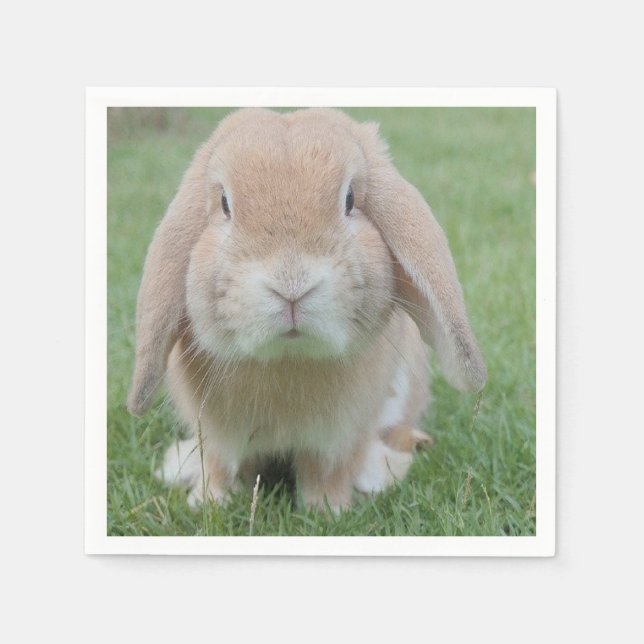 serious bunny photo napkin (Front)