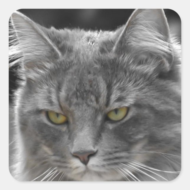 Serious Buster Square Sticker (Front)