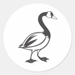 Serious Canada Goose Bird in Black and White Classic Round Sticker