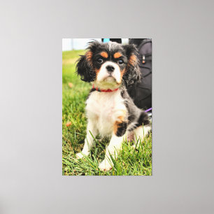 Serious Canvas Print