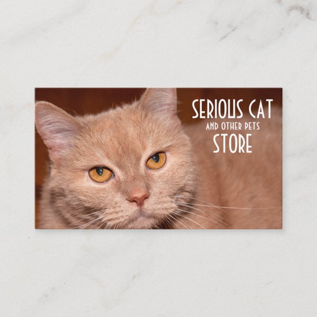 Serious Cat and other pets customizable Business Card (Front)