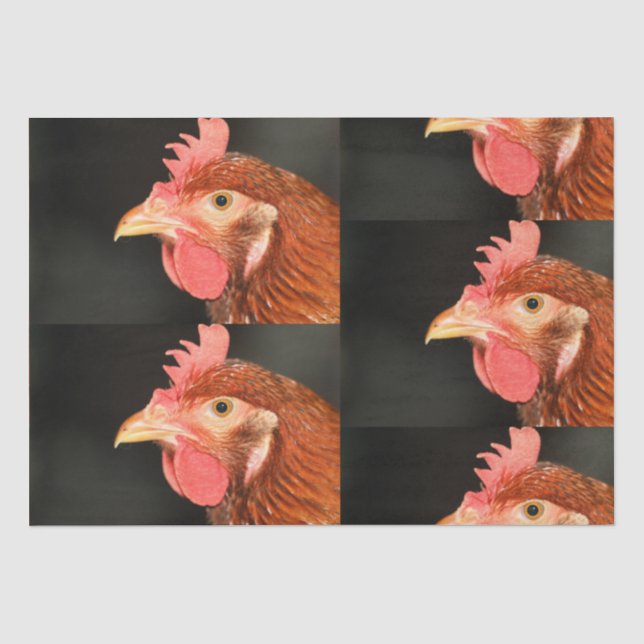 Serious hen  tissue paper (Front)