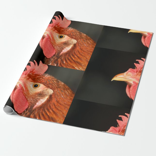 Serious hen wrapping paper (Unrolled)