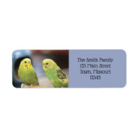 Serious keets