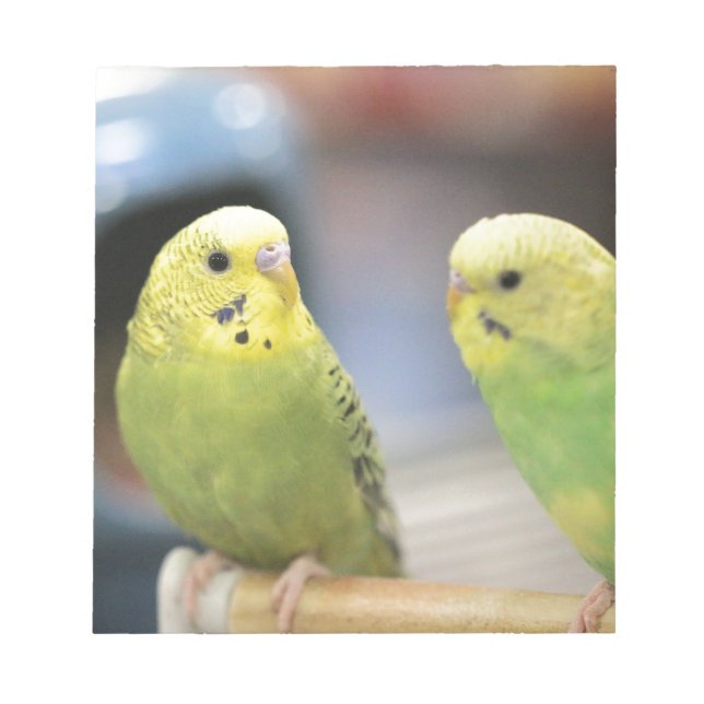 Serious keets notepad (Front)