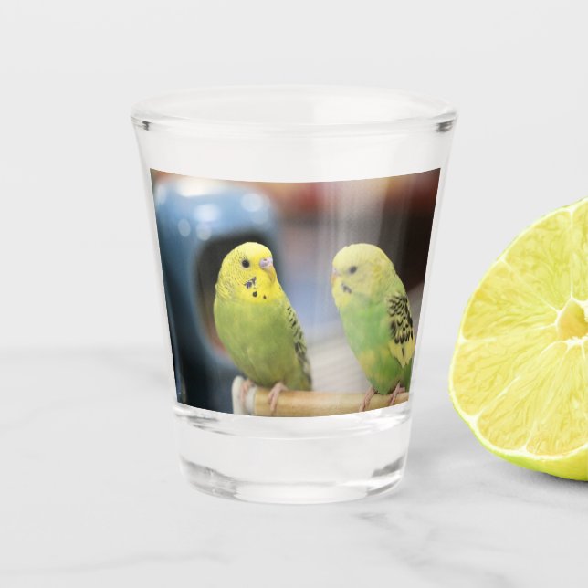 Serious keets shot glass (Front)