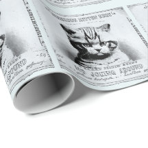 Serious kitten, old newspaper personalized