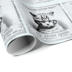 Serious kitten, old newspaper personalized wrapping paper