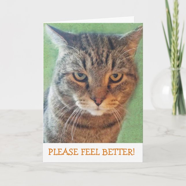 Serious Kitty Get Well Card (Front)