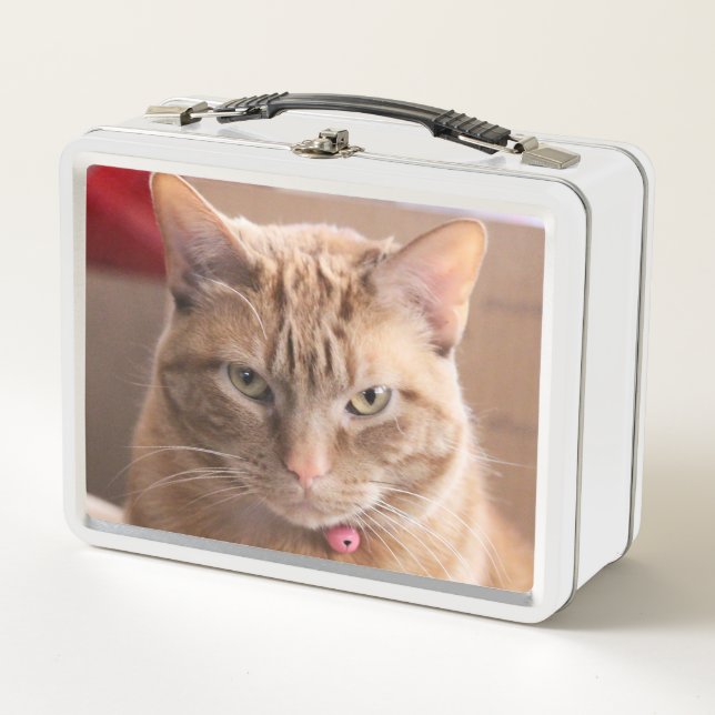 Serious Metal Lunch Box (Front)