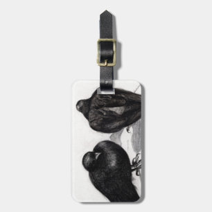 Serious Pigeon Situation 2012 Luggage Tag