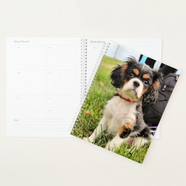 Serious Planner (Display)