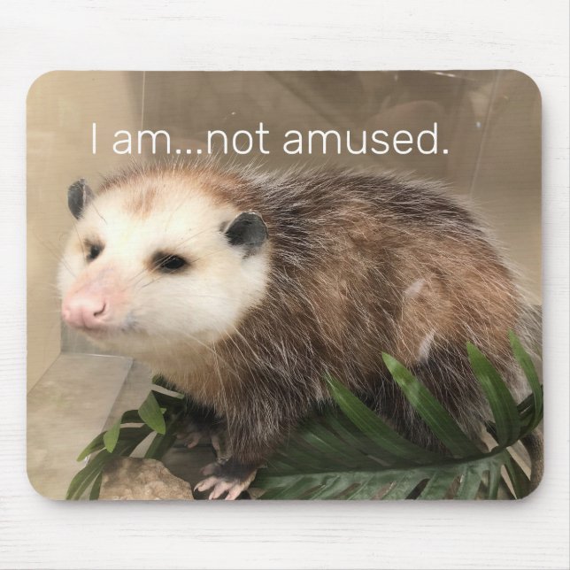 Serious possum mousepad (Front)