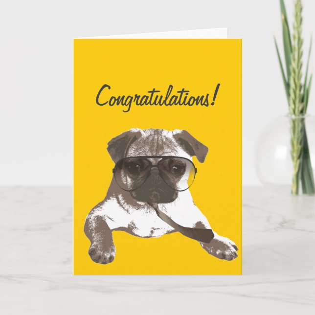 Serious Pug Congratulations Greeting Card (Front)
