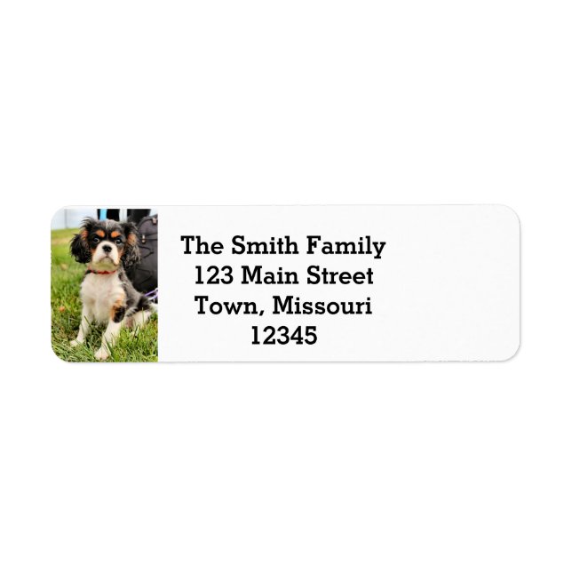 Serious Return Address Label (Front)