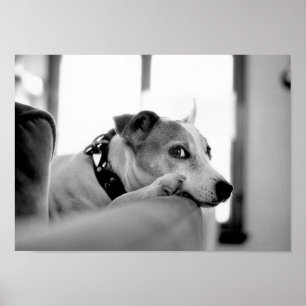 Serious Side Eye. Poster