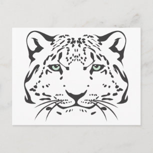 Serious Snow Leopard Postcard