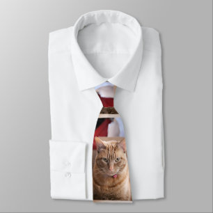 Serious Tie
