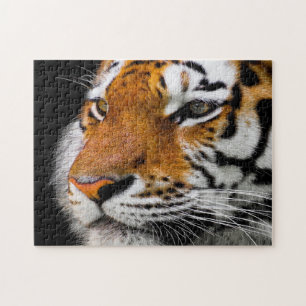 Serious tiger face jigsaw puzzle